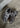 MR530CB - Grey Matter-Shoes-New Balance-Butler Loftet