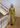 Danillamd dress - Split Pea