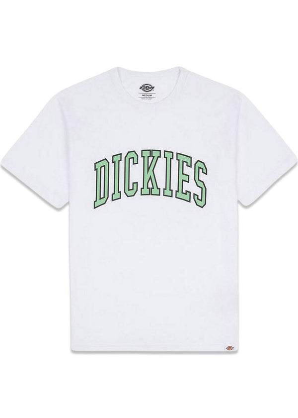 Dickies' AITKIN TEE - White/Apple Mint. Køb t-shirts her.