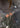 AW26 CARGO PANTS - Camo-Pants-Bareen-Butler Loftet