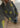 CRISSA - Gray Tennisball-Knitwear-Baum und Pferdgarten-Butler Loftet