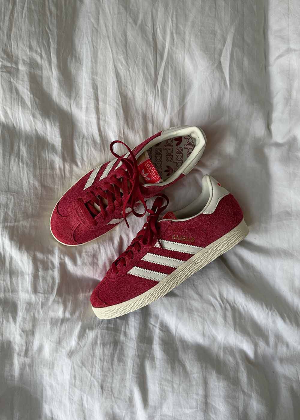 GAZELLE - Team Victory Red