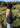 Hufukollur 66°N - Black-Headwear-66 North-Butler Loftet