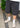 Rami Crow Shorts - Black Vintage-Shorts-Woodbird-Butler Loftet