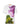SGMargila - Poppies Bloom-T-shirts-Stine Goya-Butler Loftet