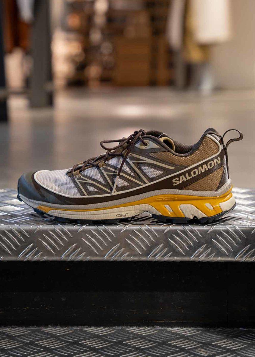 Salomon XT-6 EXPANSE Feather Gray Delicios Feather Gray Delicioso Golden Oak