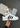 SUPERSTAR II - Ftwr White-Shoes-Adidas Originals-Butler Loftet