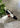 Speedcat Ballet SD Wns - Black-Shoes-Puma-Butler Loftet
