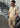 Swaeter SS Polo - Ivory-Knitwear-Paul Smith - PS-Butler Loftet