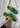 TOKYO - Green-Shoes-Adidas Originals-Butler Loftet