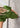 Tailormd SS dress - Twist Of Lime-Dress-Modström-Butler Loftet