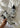 XT-6 EXPANSE - White / Metal / Black-Shoes-Salomon-Butler Loftet