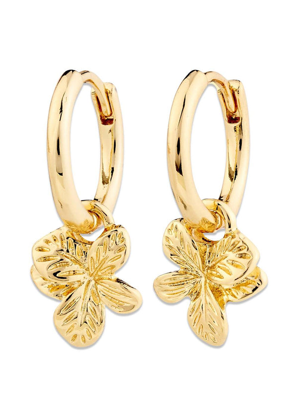 CHARMAINE hoop earrings gold-plated - Gold Plated