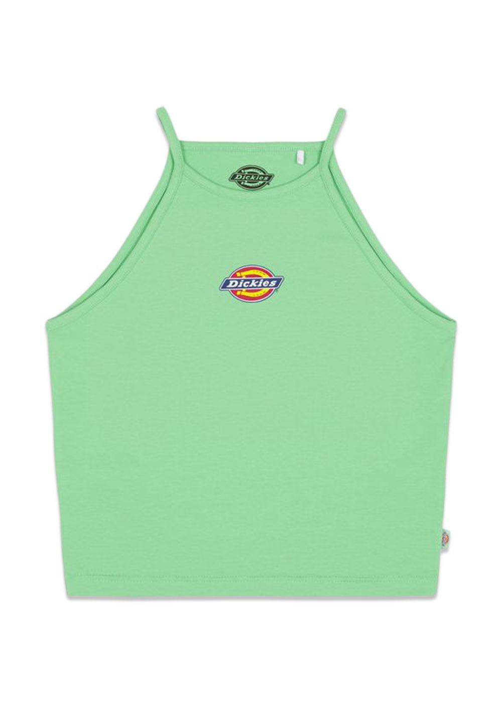 Dickies' Chain lake vest - Apple Mint. Køb toppe her.