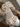 MYNOWA - Cathay Spice Mega Dot Blouses297_21710_CATHAYSPICEMEGADOT_345704547991115- Butler Loftet