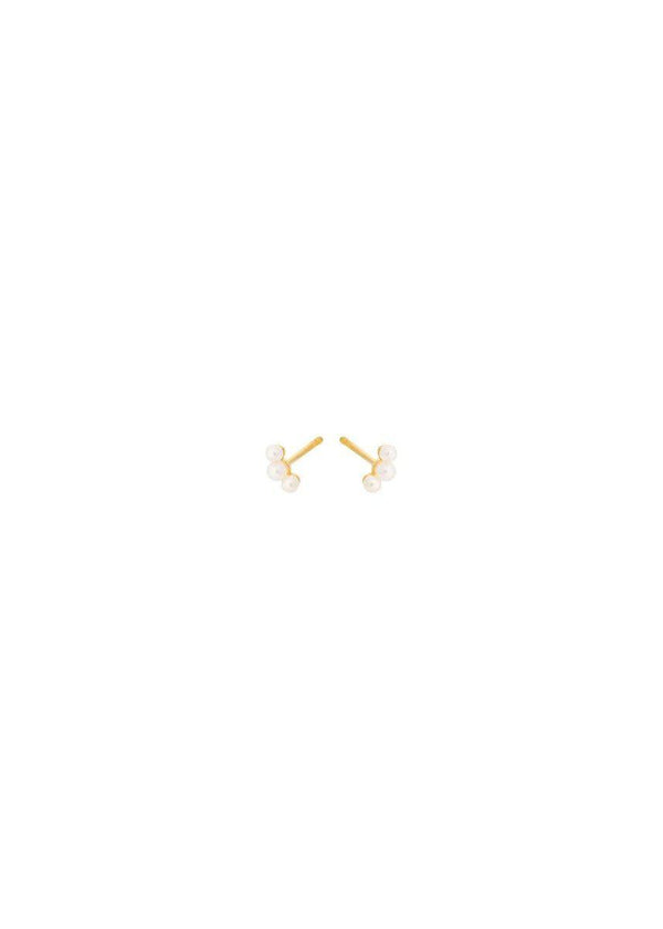Pernille Corydons Ocean Pearl Earsticks size 6 - Gold. Køb øreringe her.