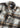 Sean 5265 - Khaki Check