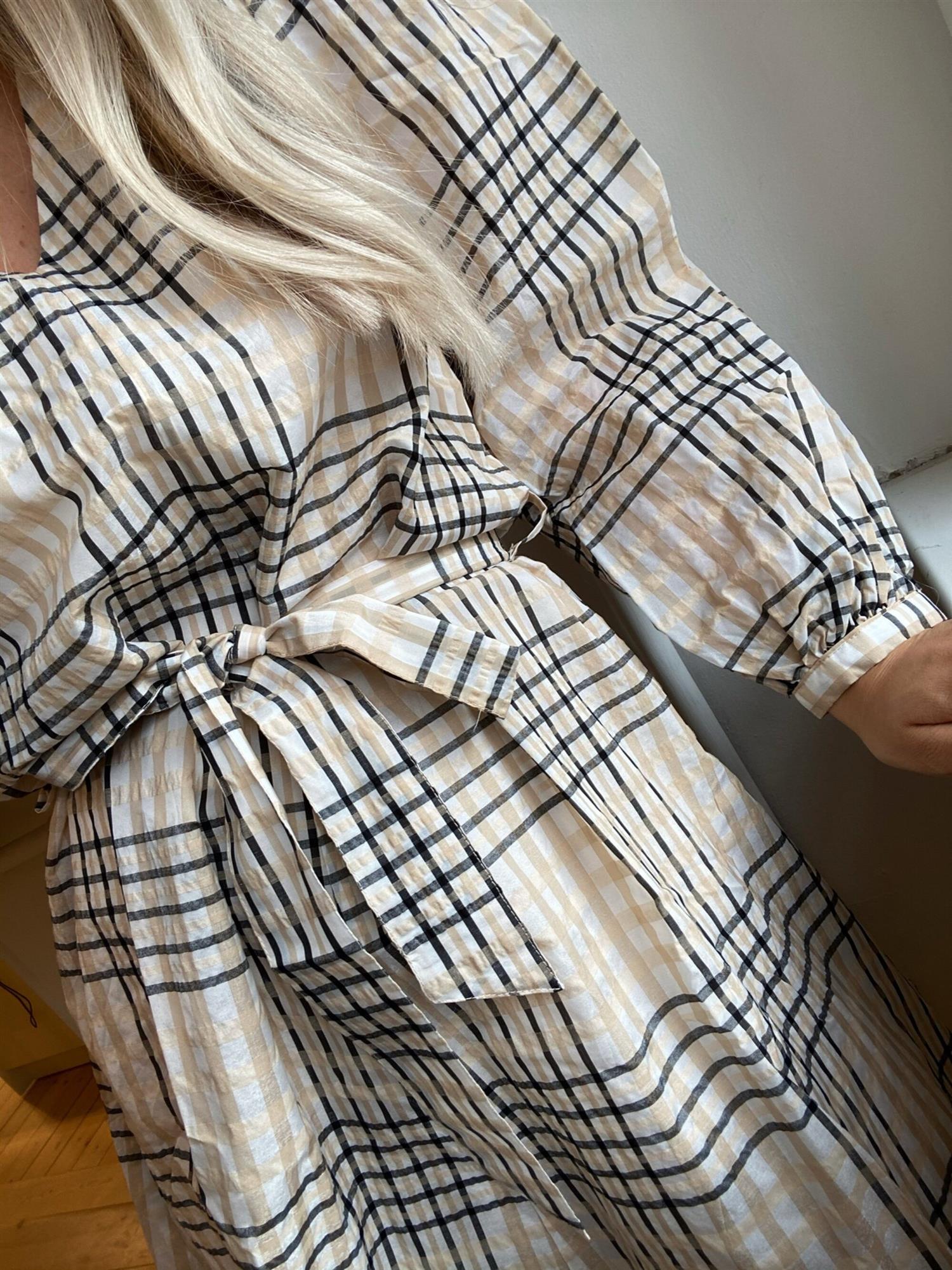 Taia dress - Powder Check