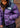 W PRINTED 1996 RETRO NUPTSE - Gravitypurpleleopardprint