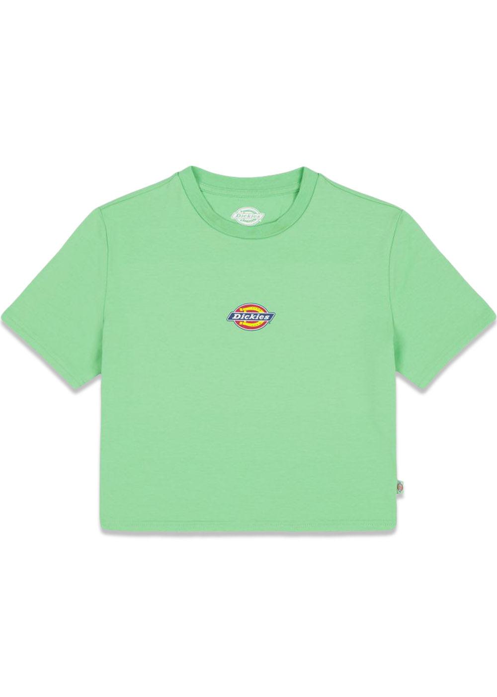 Dickies' maple valley tee - Apple Mint. Køb t-shirts her.