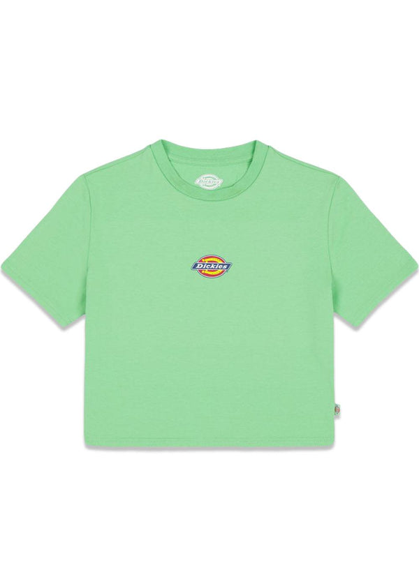 Dickies' maple valley tee - Apple Mint. Køb t-shirts her.